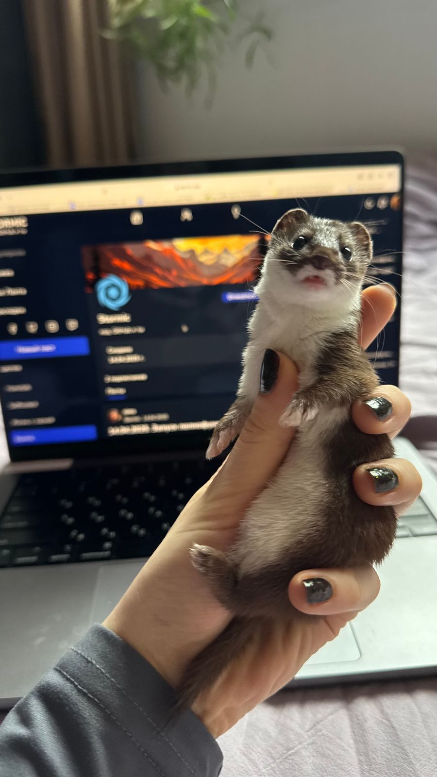 🤍